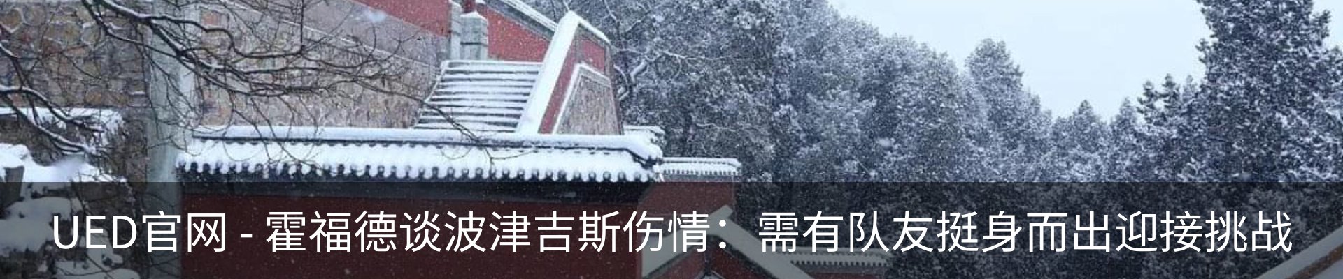 最新动态